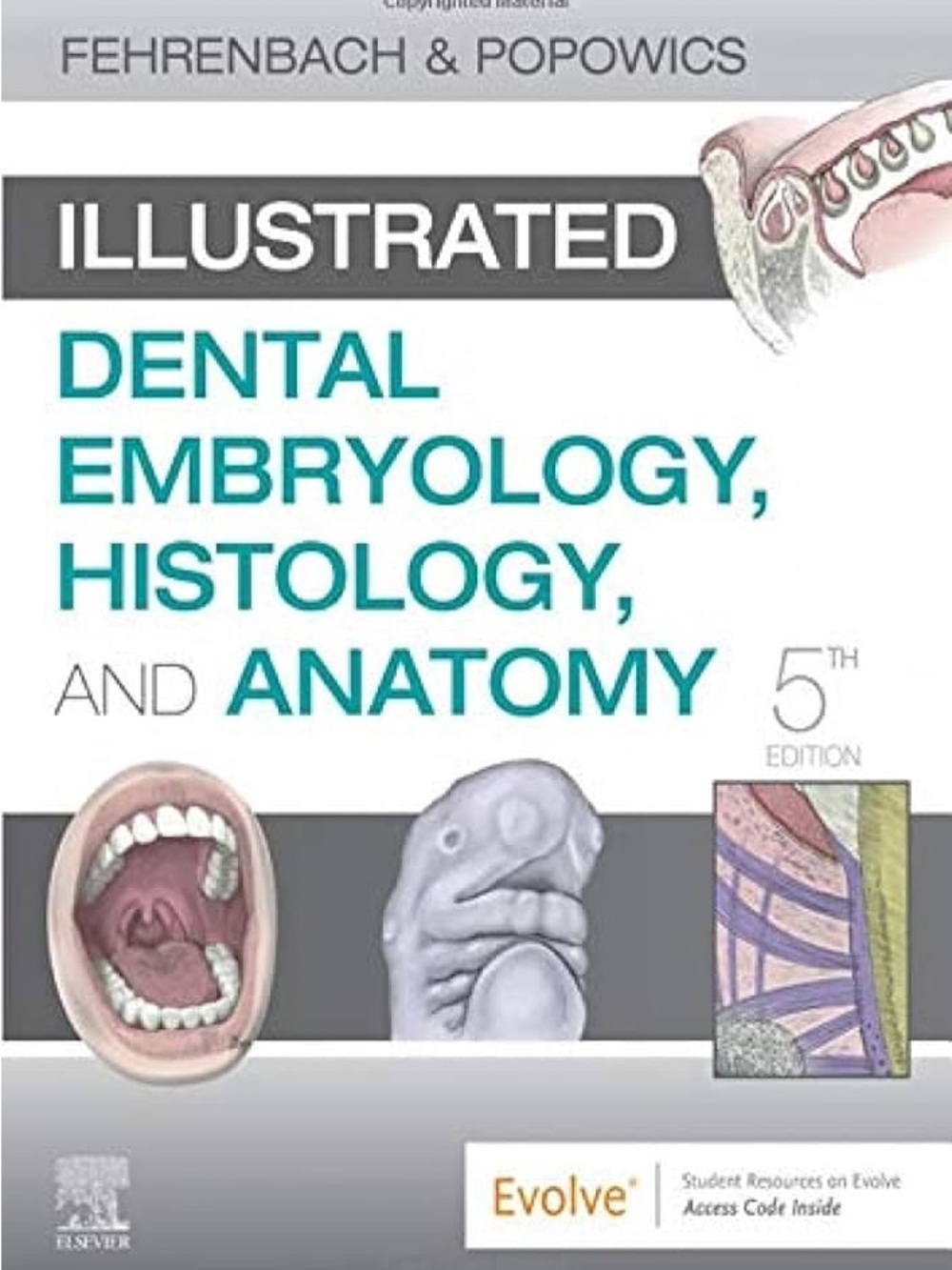 5th edition Illustrated Dental Embryology, Histology, and Anatomy - Teal Cover